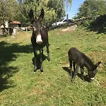 Il Ciliegio Selvatico 아파트