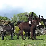 Lejlighed Il Ciliegio Selvatico *