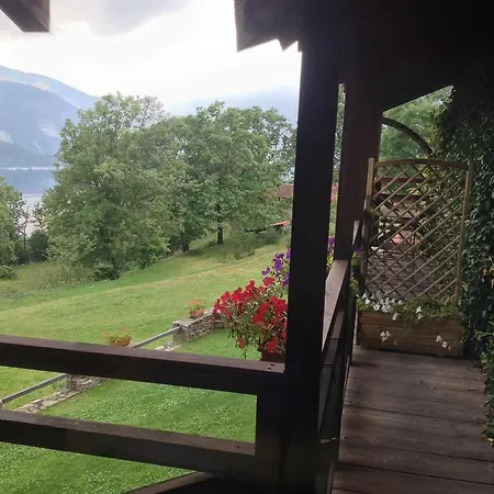 Il Ciliegio Selvatico *