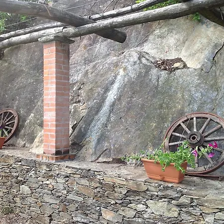 Apartment Il Ciliegio Selvatico *