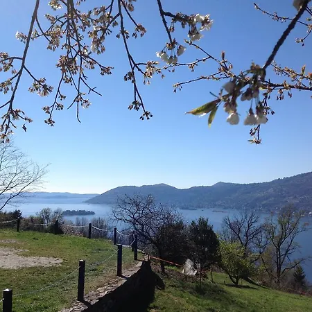 Il Ciliegio Selvatico