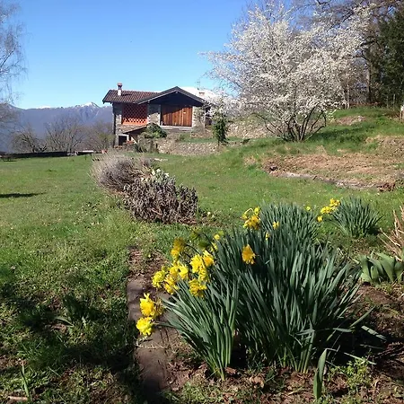 Apartment Il Ciliegio Selvatico