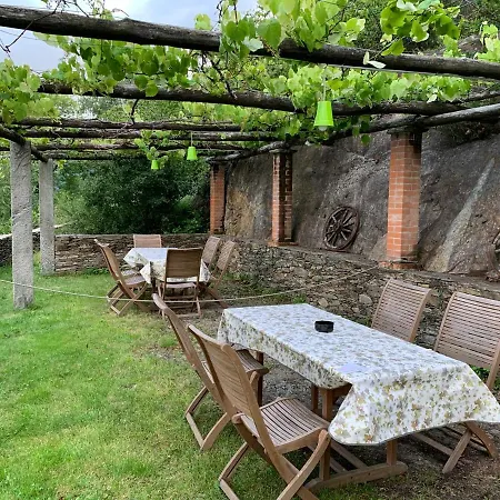 Il Ciliegio Selvatico *