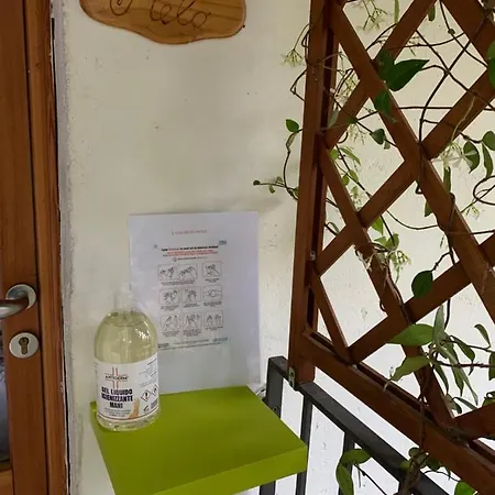 Il Ciliegio Selvatico Apartmán Verbania