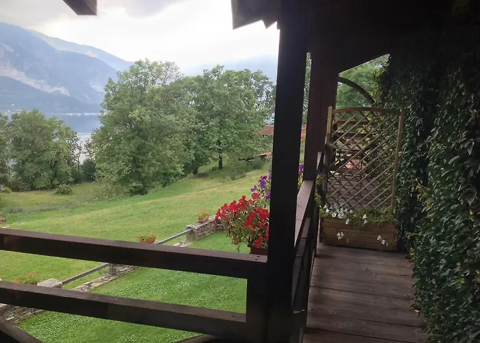 Il Ciliegio Selvatico *