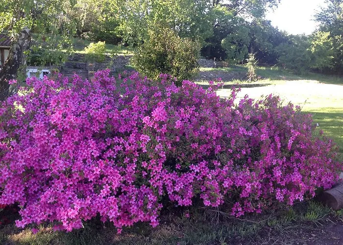 Il Ciliegio Selvatico アパート *