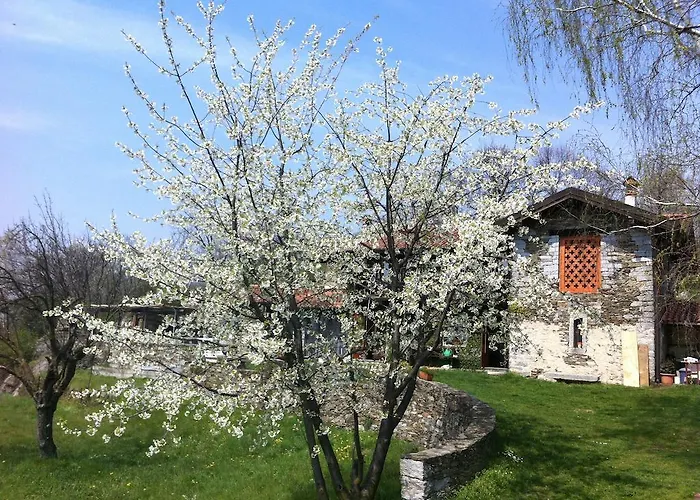 Apartment Il Ciliegio Selvatico Verbania