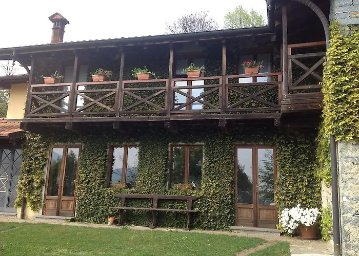 Il Ciliegio Selvatico *