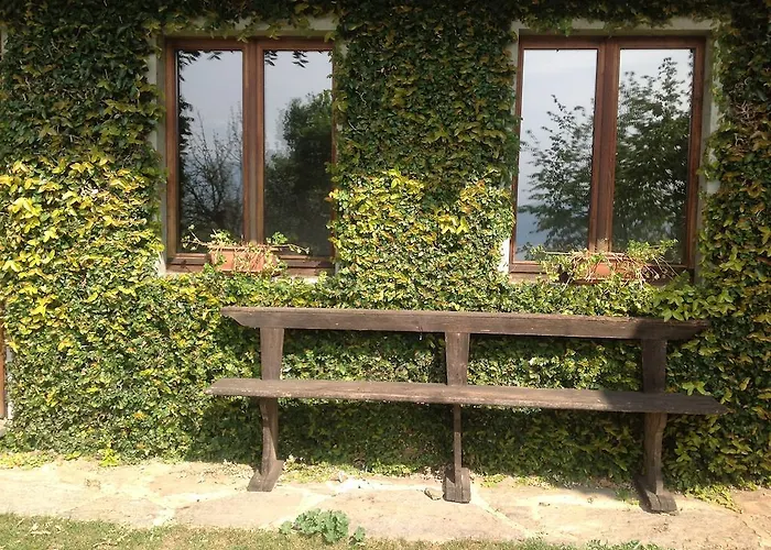 Apartment Il Ciliegio Selvatico Verbania