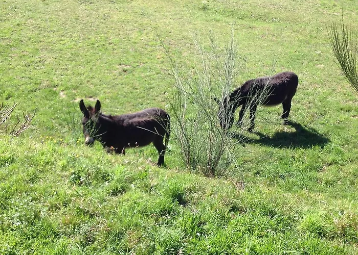 アパート Il Ciliegio Selvatico *