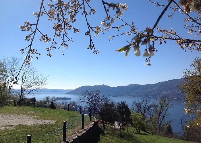 Il Ciliegio Selvatico