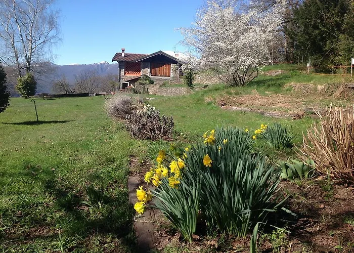 Lejlighed Il Ciliegio Selvatico