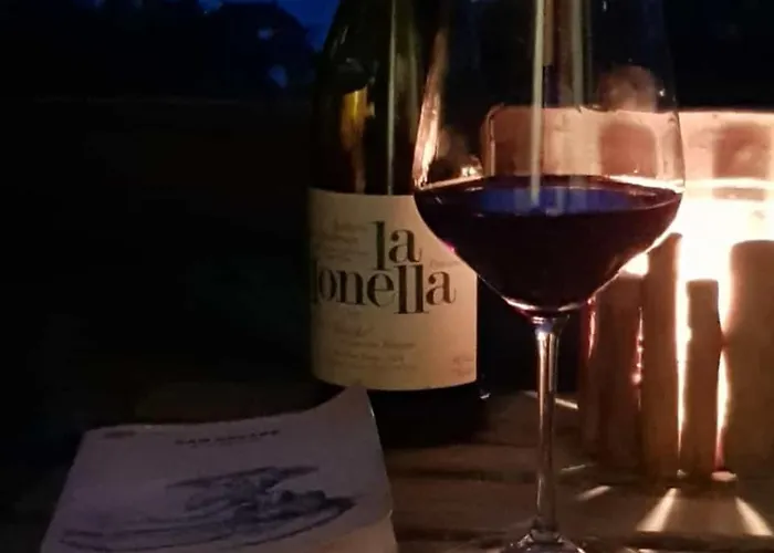 アパート Il Ciliegio Selvatico *