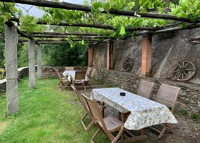 Il Ciliegio Selvatico *